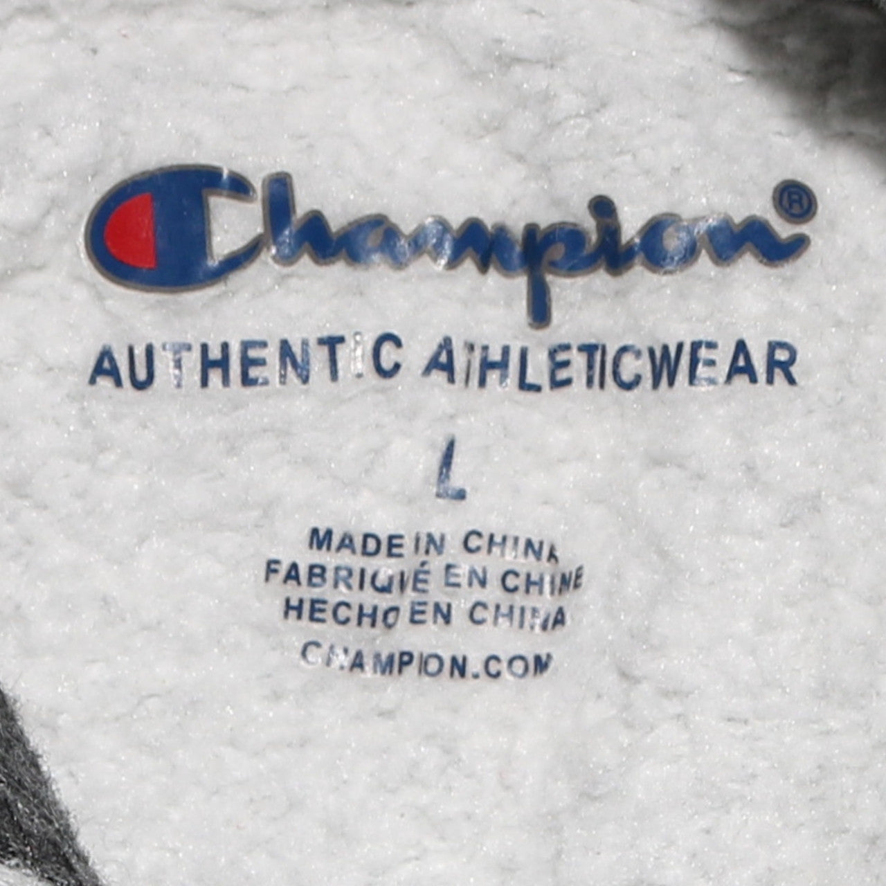 Champion Boys Beige Hooded Pullover Sweatshirt L Logo Fleece Casual