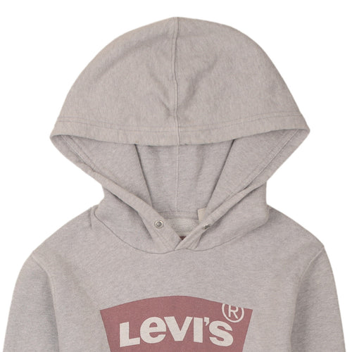 Levi's Men's Grey XS Pullover Hoodie Logo Graphic Sweatshirt