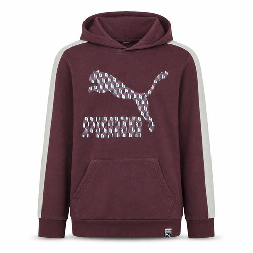 Puma Boys Purple Hoodie 14-15 Years Pullover Hooded Sweatshirt