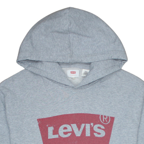 Levi's Men's Grey 2XL Pullover Hoodie Graphic Logo Sweatshirt