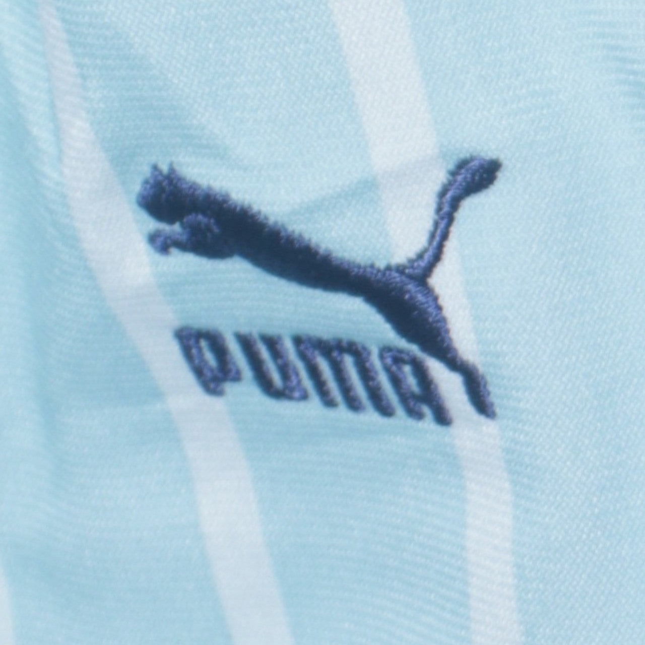 Puma Men's Blue Striped Full Zip Sweatshirt Jacket Size M