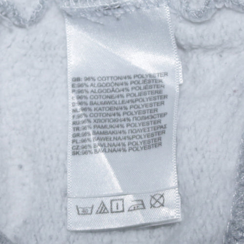 The North Face Womens Grey XS Pullover Hoodie with Logo