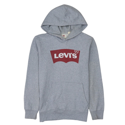 Levi's Men's Grey Graphic Logo Pullover Hoodie Size S