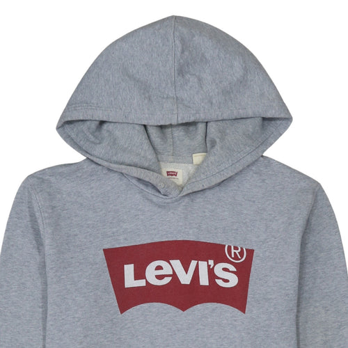 Levi's Men's Grey Graphic Logo Pullover Hoodie Size S