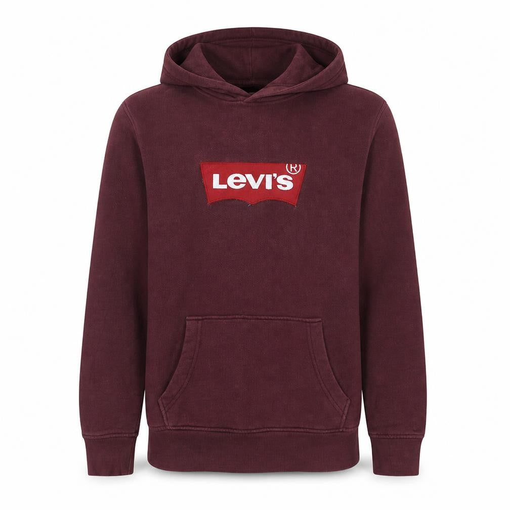 Front view of Levi's Men's Brown Pullover Hoodie S Logo Graphic Fleece