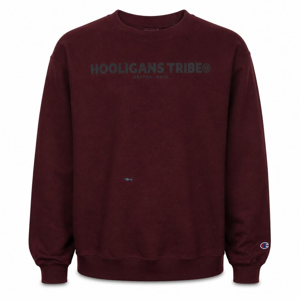 Front view of Champion Men’s Red XL Pullover Fleece Sweatshirt Crew Neck