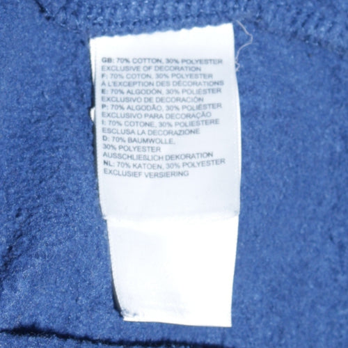 The North Face Mens Blue Pullover Hoodie Size L Outdoor Fleece