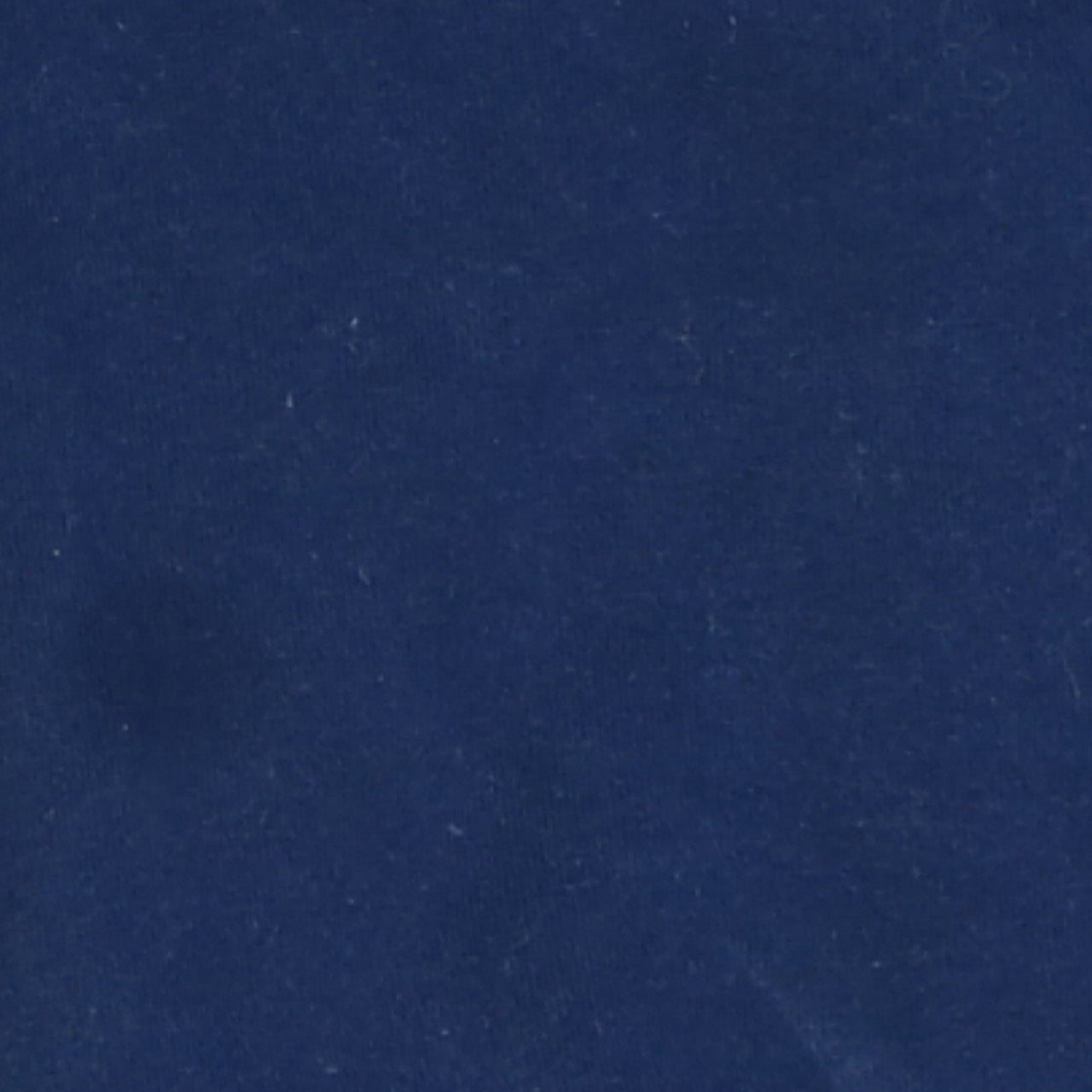 Tommy Hilfiger Women Navy Blue XL Sweatshirt with Logo Detail