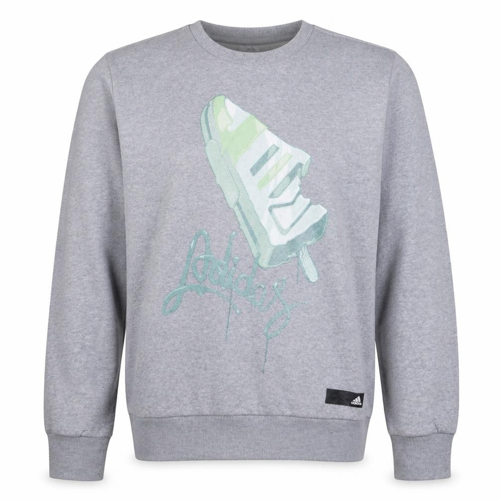 Front view of Adidas men’s grey graphic logo pullover sweatshirt, size M