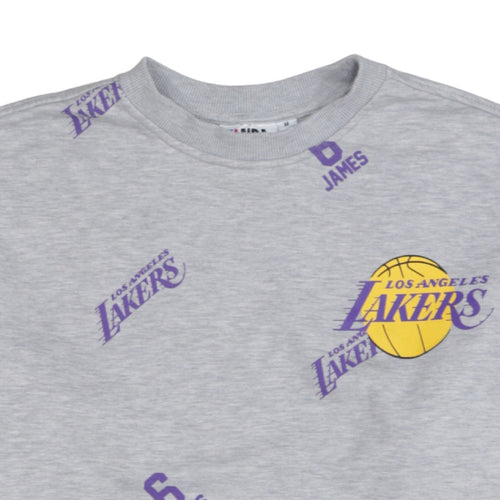 NBA Los Angeles Lakers Men's Grey Graphic Pullover Sweatshirt M