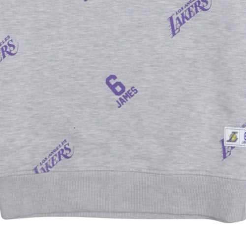 NBA Los Angeles Lakers Men's Grey Graphic Pullover Sweatshirt M
