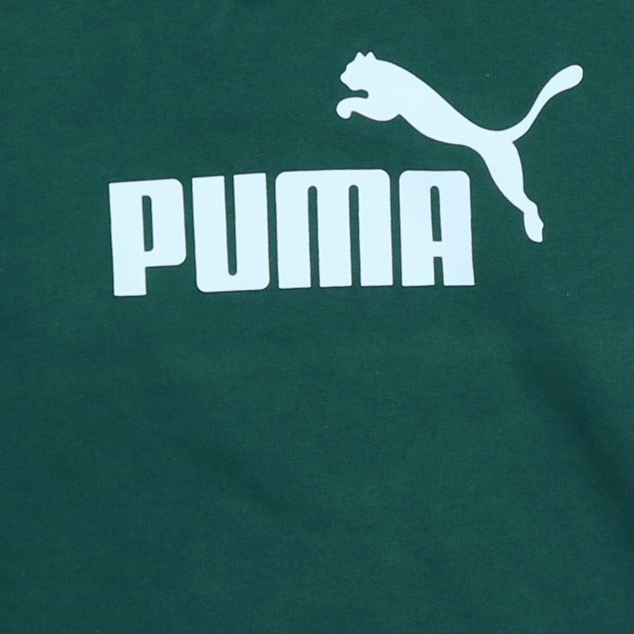 Puma Womens Green XS Pullover Hoodie Sweatshirt Logo Print