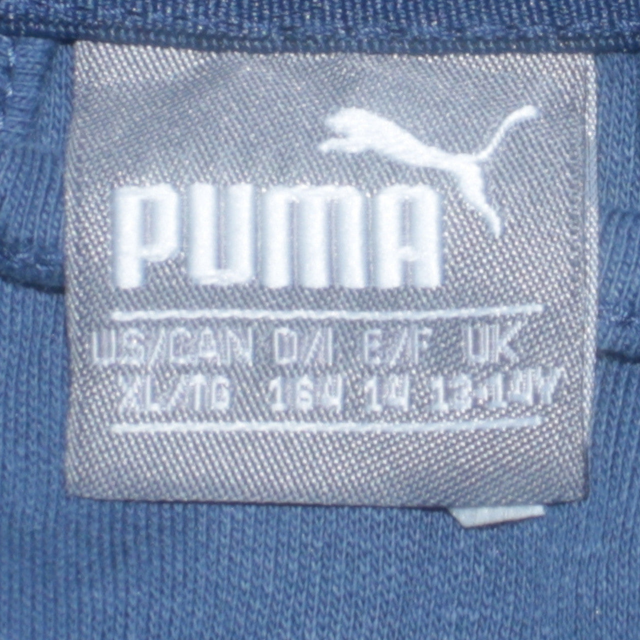 Puma Boys Blue Full Zip Hoodie Size 12-13 Years Regular Fit