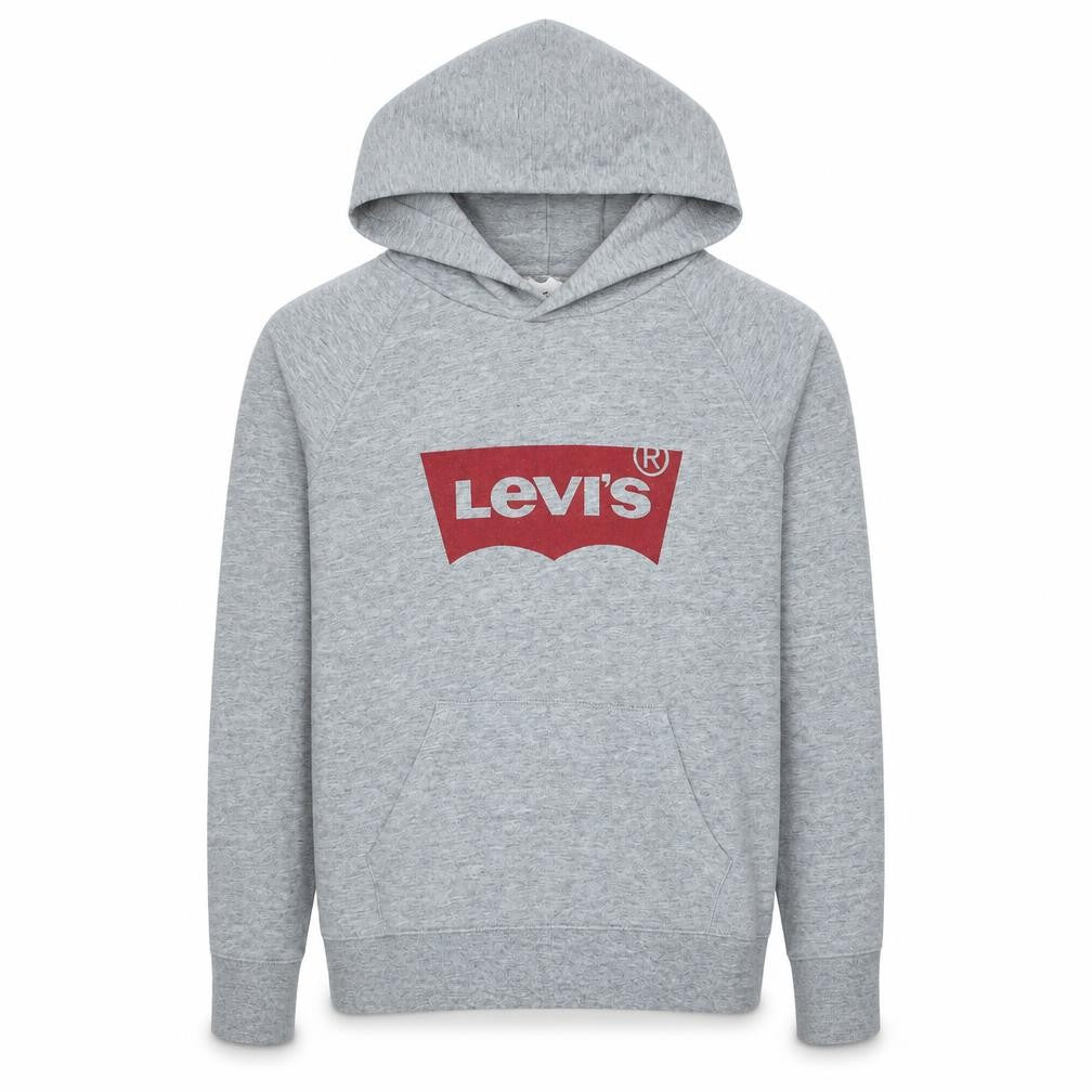Front view of Levi's Grey Logo Pullover Hoodie Teens S Regular Fit