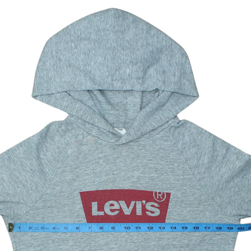 Levi's Grey Logo Pullover Hoodie Teens S Regular Fit
