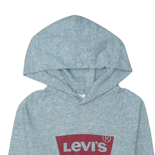 Levi's Grey Logo Pullover Hoodie Teens S Regular Fit