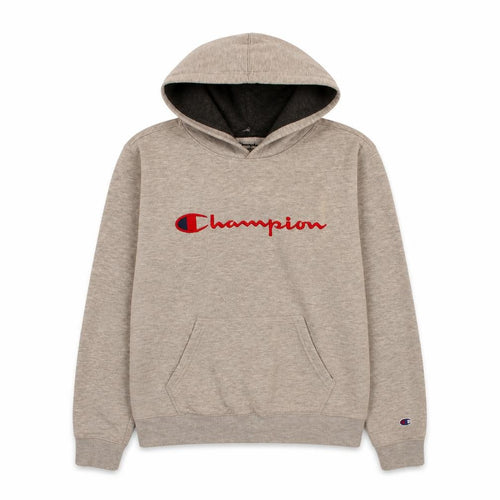 Champion Men's Grey XL Pullover Hoodie Embroidered Logo Sports Style