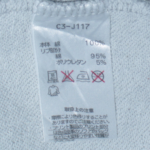 Champion Men's Grey Small Pullover Hoodie with Logo Print