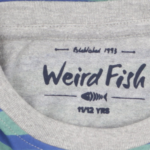 Weird Fish Boys Multicoloured Striped Long Sleeve Cotton T-Shirt 11-12 Years