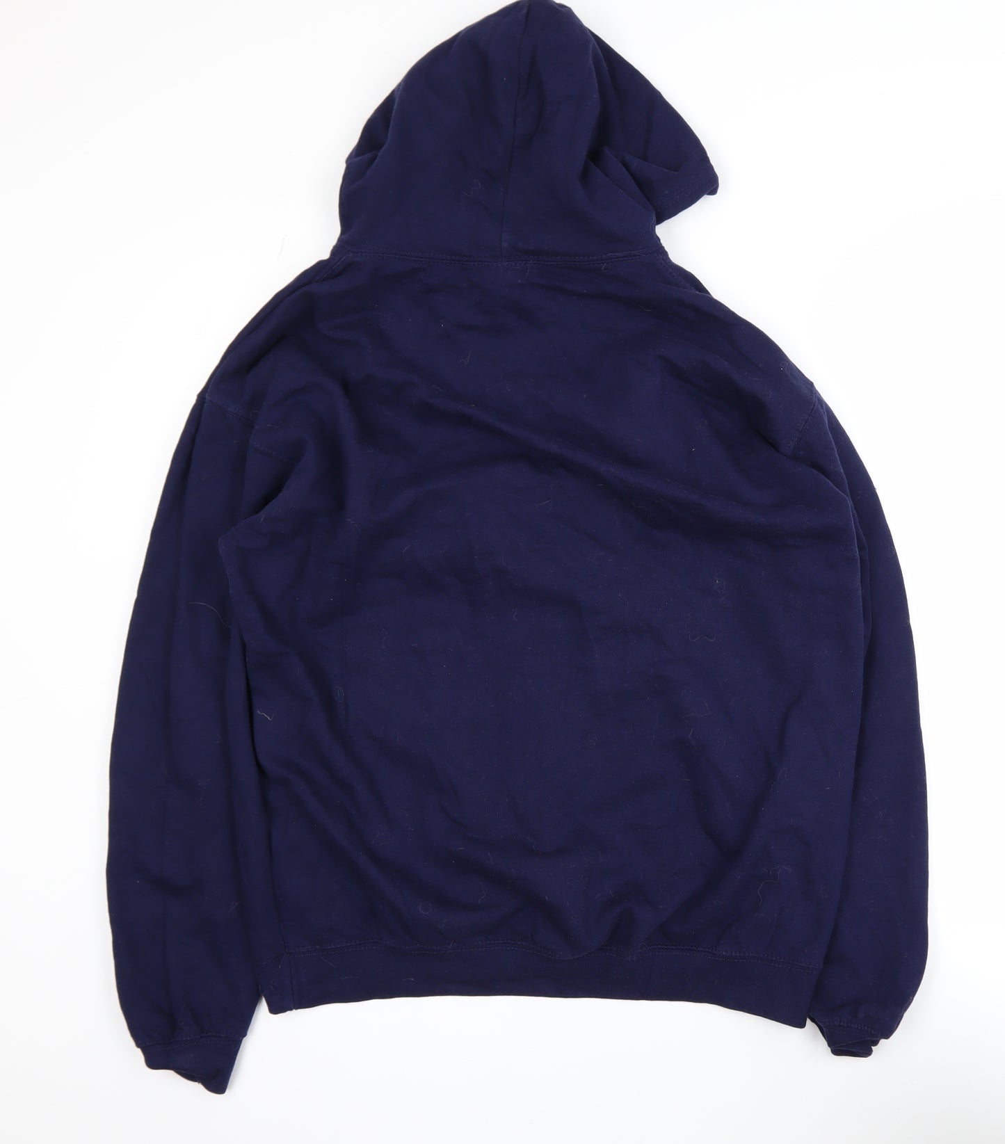 Just Hoods Men’s Blue Pullover Hoodie L Graphic Print Fleece