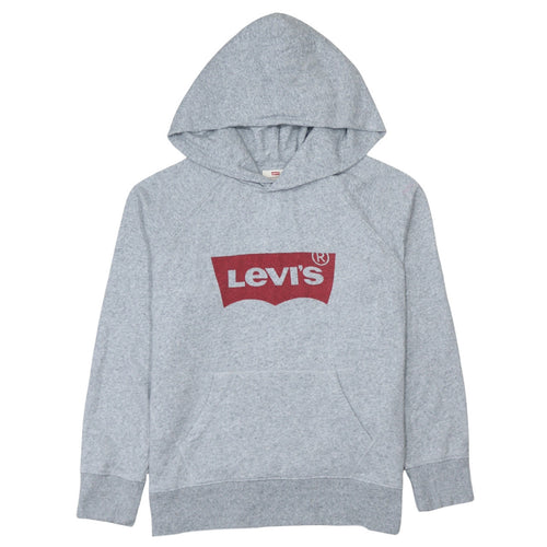 Levi's Men's Grey XS Pullover Hoodie with Logo Graphic Print