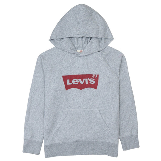 Levi's Men's Grey XS Pullover Hoodie with Logo Graphic Print