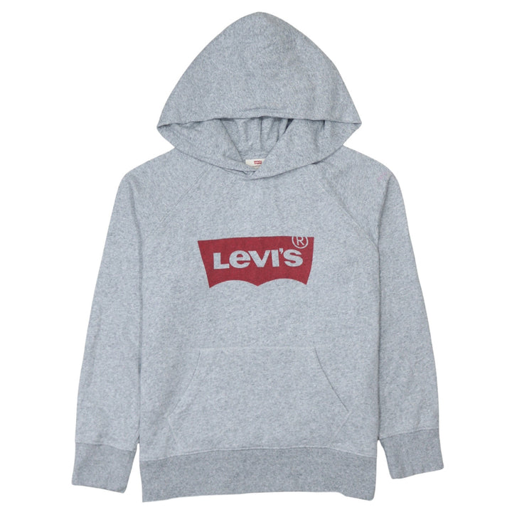 Levi's Men's Grey XS Pullover Hoodie with Logo Graphic Print