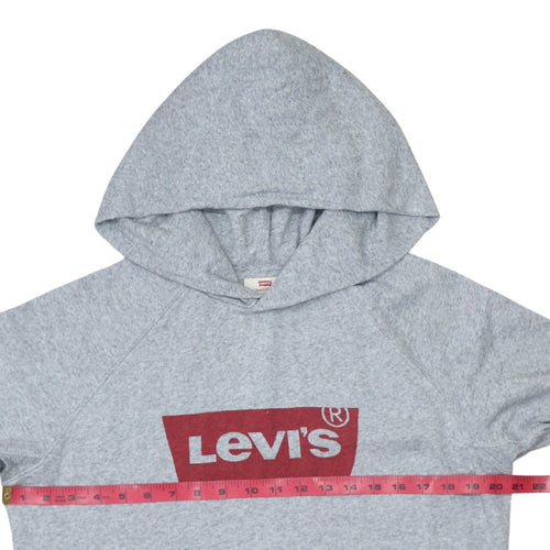 Levi's Men's Grey XS Pullover Hoodie with Logo Graphic Print