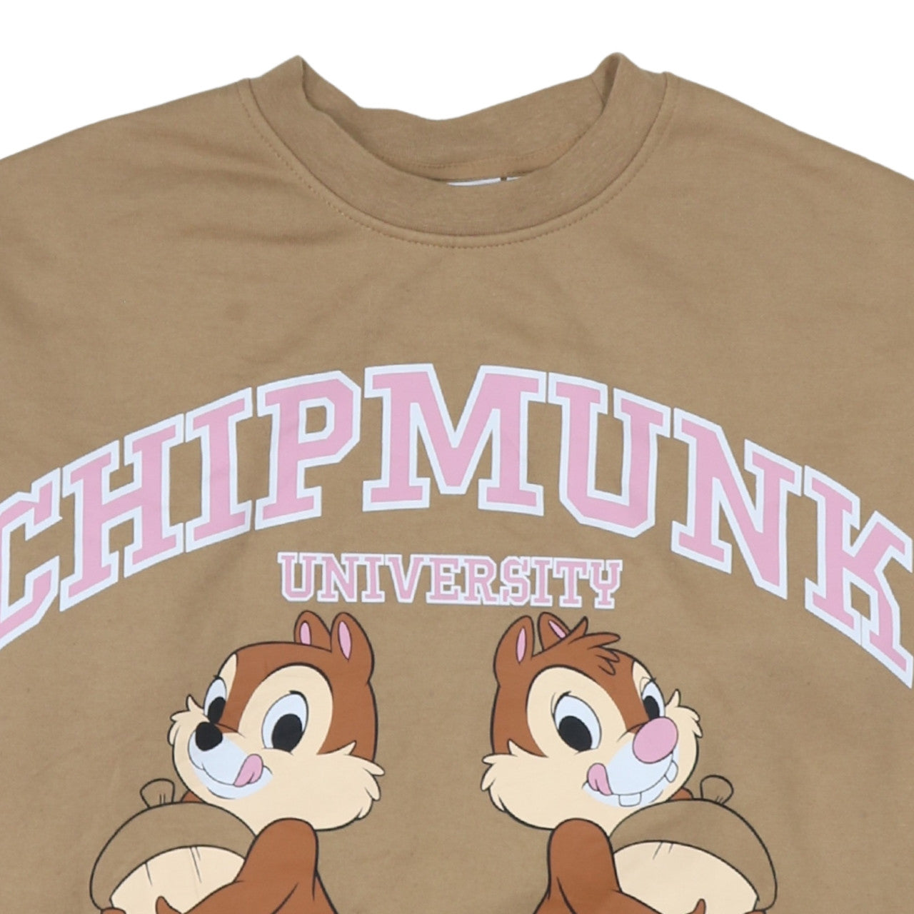Disney Chipmunk University Brown Sweatshirt Women M Graphic Pullover