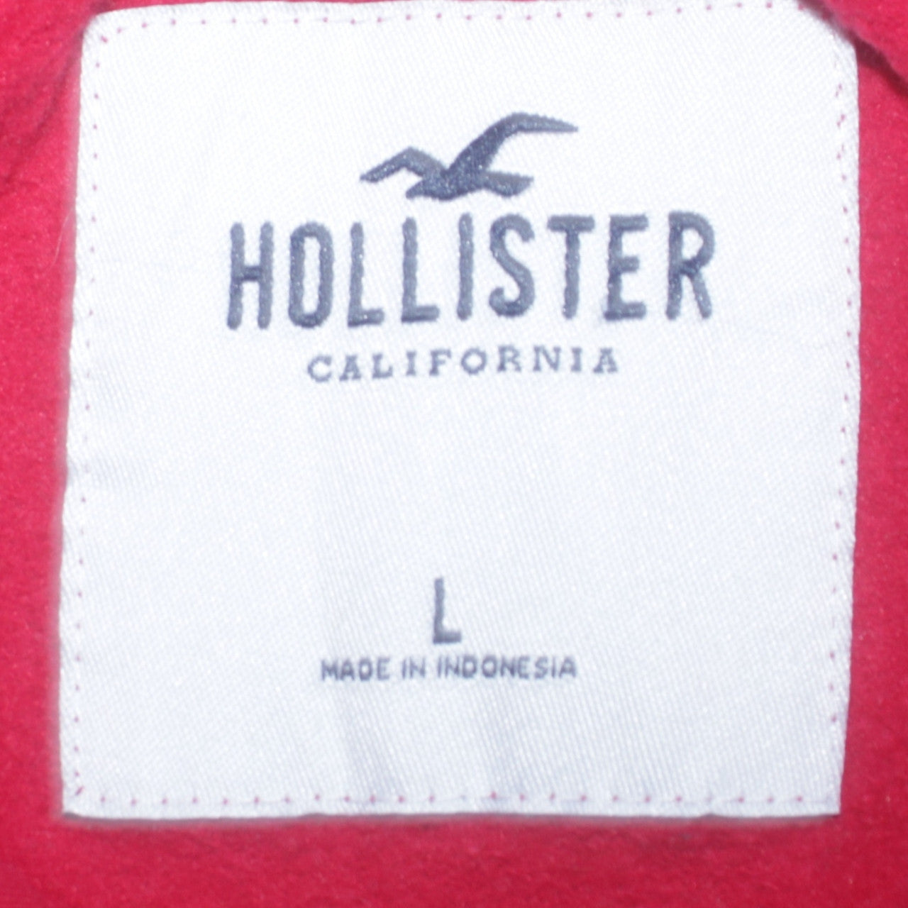 Hollister Men’s Red Pullover Hoodie L Graphic Print Casual