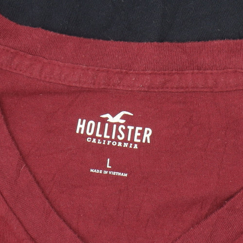 Hollister Men's Red and Navy Striped V-Neck T-Shirt L