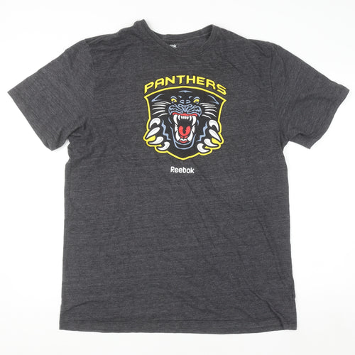 Reebok Men’s Grey 2XL Panthers Graphic Sports T-Shirt