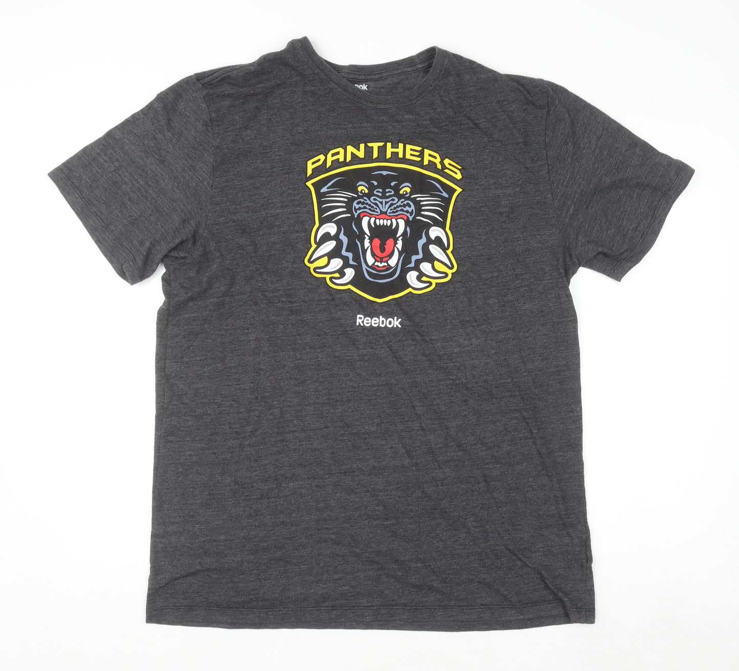 Reebok Men’s Grey 2XL Panthers Graphic Sports T-Shirt