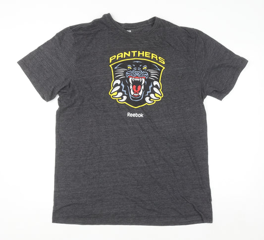 Reebok Men’s Grey 2XL Panthers Graphic Sports T-Shirt