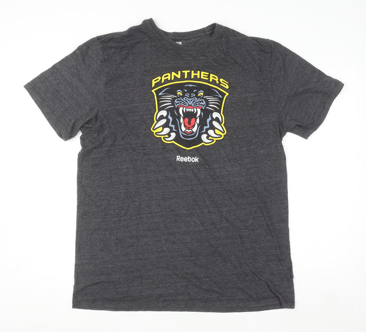 Reebok Men’s Grey 2XL Panthers Graphic Sports T-Shirt
