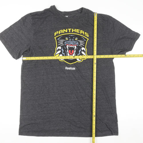 Reebok Men’s Grey 2XL Panthers Graphic Sports T-Shirt