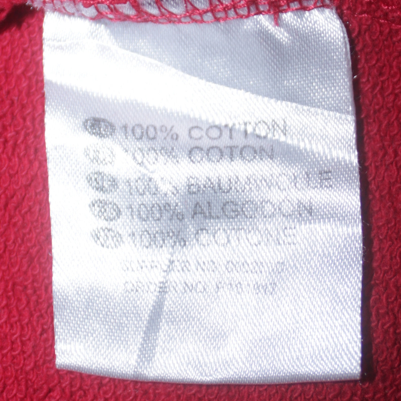 Dickies Boys Red XL Pullover Sweatshirt Logo Graphic Cotton Crew Neck