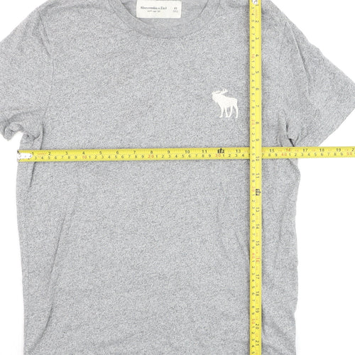 Abercrombie & Fitch Men's Grey XS Crew Neck Soft T-Shirt