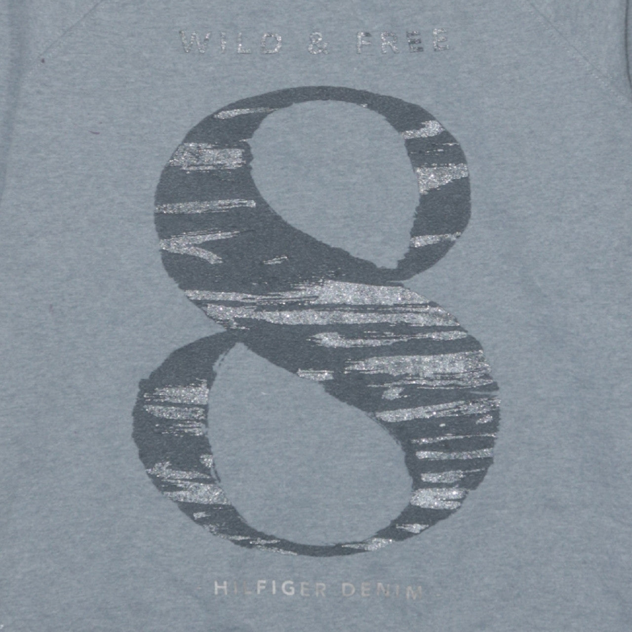 Hilfiger Denim Men's Grey Medium Crew Neck Graphic Sweatshirt