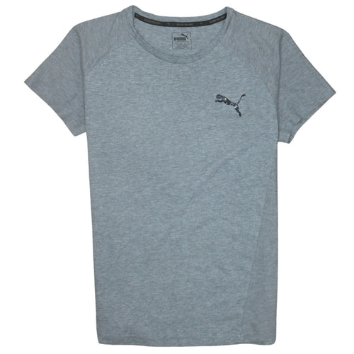 Puma Men’s Grey Moisture Wicking Raglan Crew Neck T-Shirt M