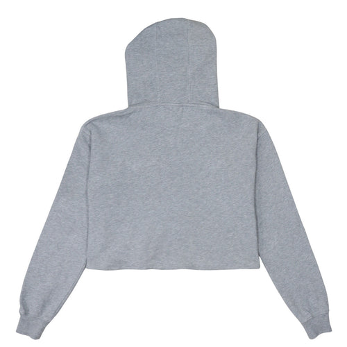 Champion Womens Grey Small Cropped Pullover Hoodie Sweatshirt