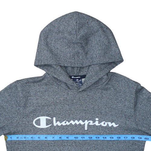 Champion Men's Grey Pullover Hoodie Small Logo Fleece Sweatshirt