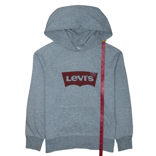 Levi's Men's Grey Pullover Hoodie XS Logo Graphic Fleece Sweatshirt