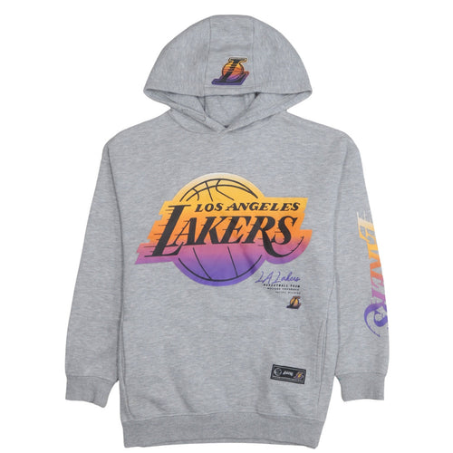 NBA Los Angeles Lakers Boys Grey Pullover Hoodie 11-12 Years Graphic Print