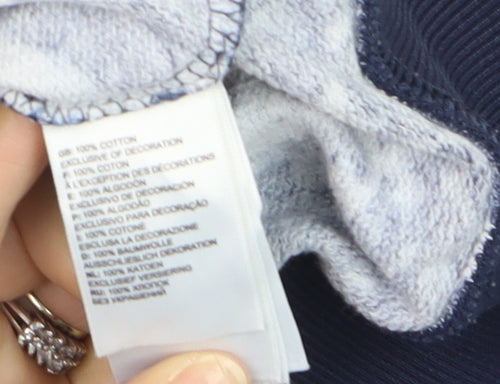 The North Face Men's Blue Pullover Hoodie L Outdoor Cotton