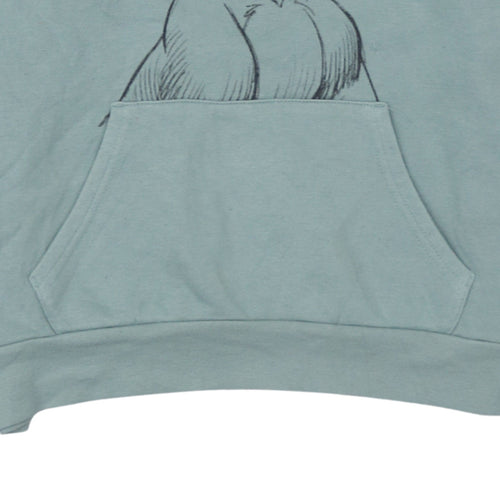 Disney Women’s Green Simba Pullover Hoodie Small