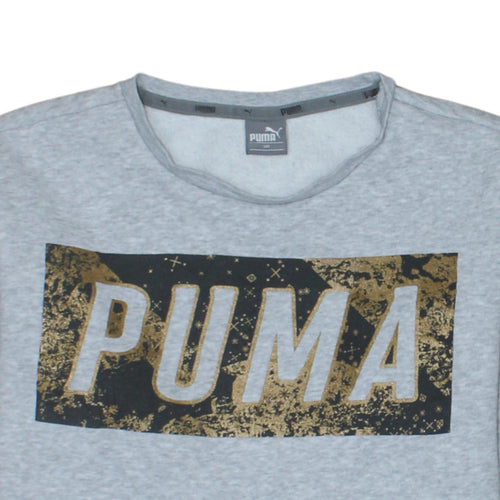 Puma Boys Grey Gold Logo Crew Neck Sweatshirt Size 158
