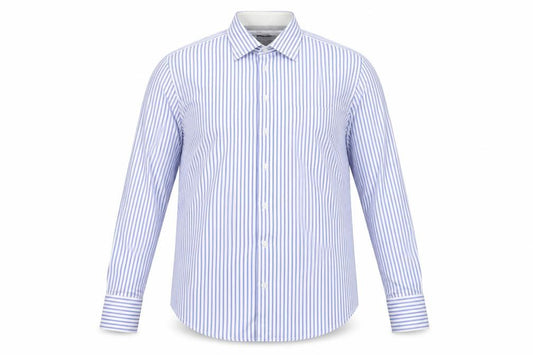 Arrow Men's Blue Striped Regular Fit 42cm Cotton Dress Shirt