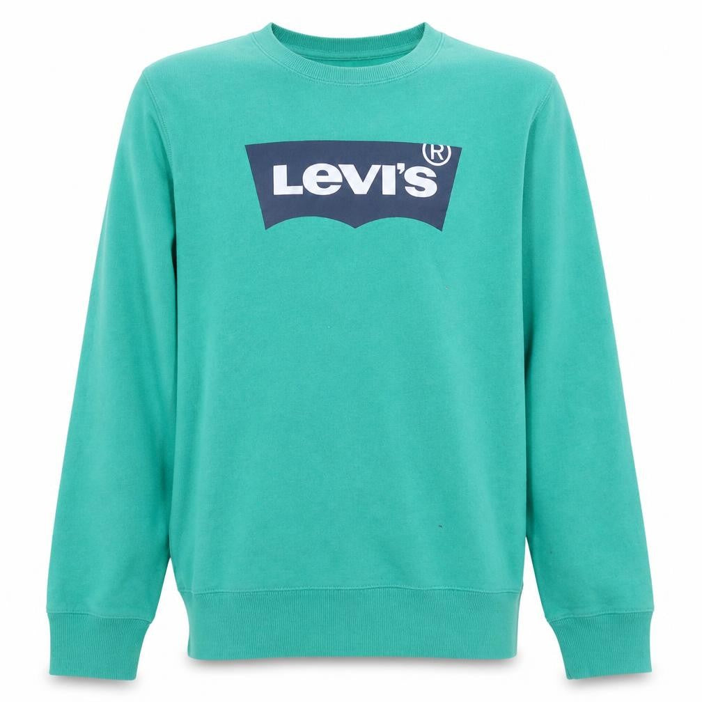 Front view of Levi's boys’ green logo graphic crew neck sweatshirt 16 years