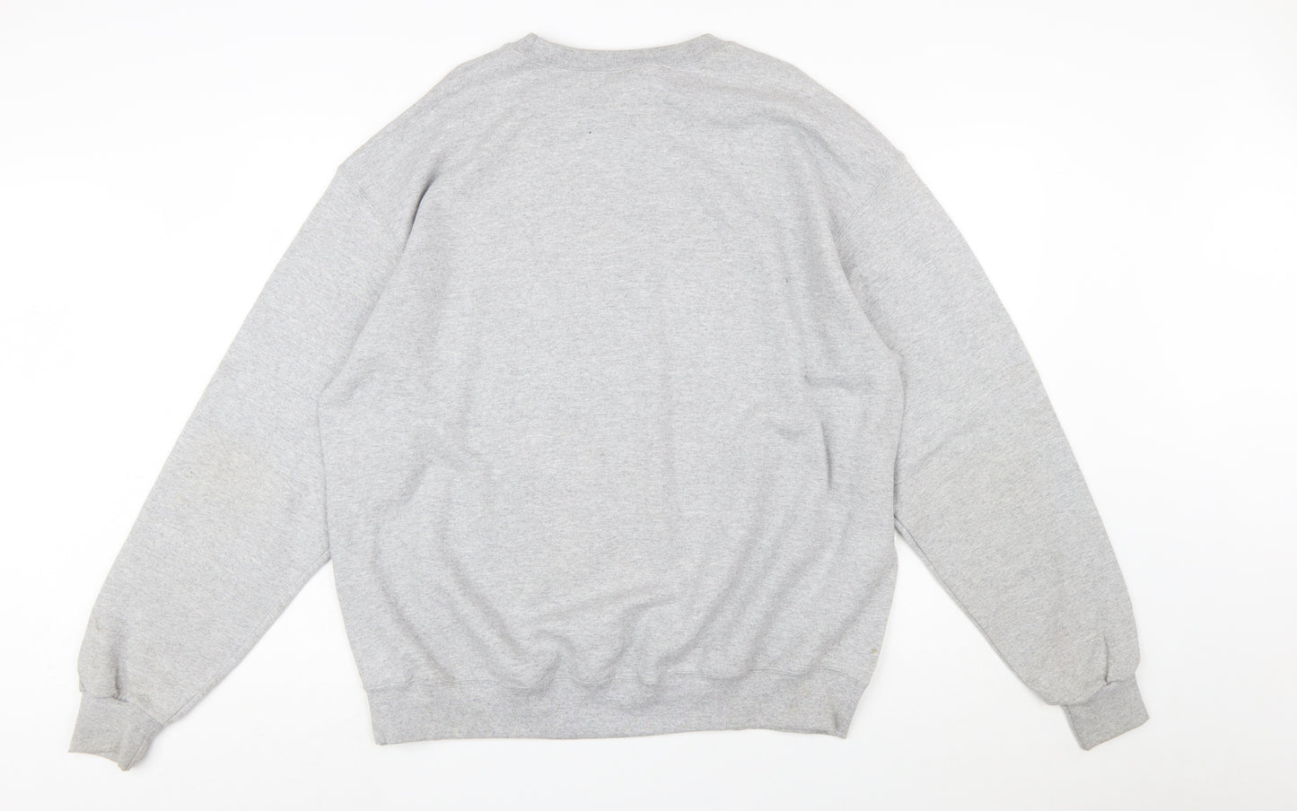 Champion Men's Grey XL Pullover Sweatshirt The Supreme Experience Graphic